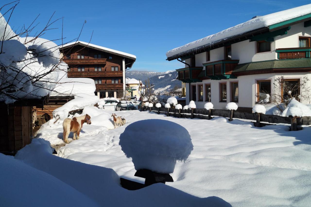 Sieglhub Chalets - Appartements - Hotel Flachau Exterior photo